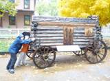 old style horse-drawn wagon